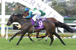 Coldplay (NZ) wins the Group 3 Eagle Technology Stakes at Ellerslie. Photo: Trish Dunell. 